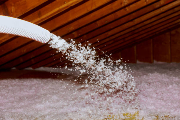 Best Blown-in Insulation in Maricopa, AZ